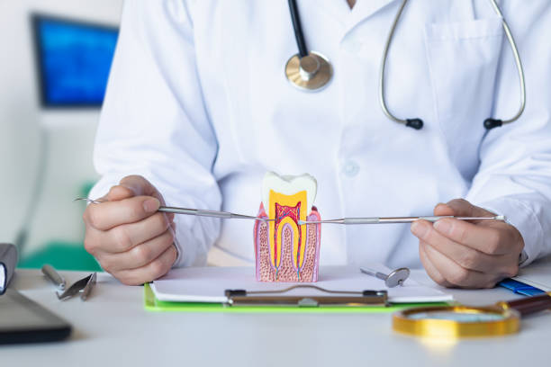 Best Emergency Dental Services for Seniors in Laware City, DE